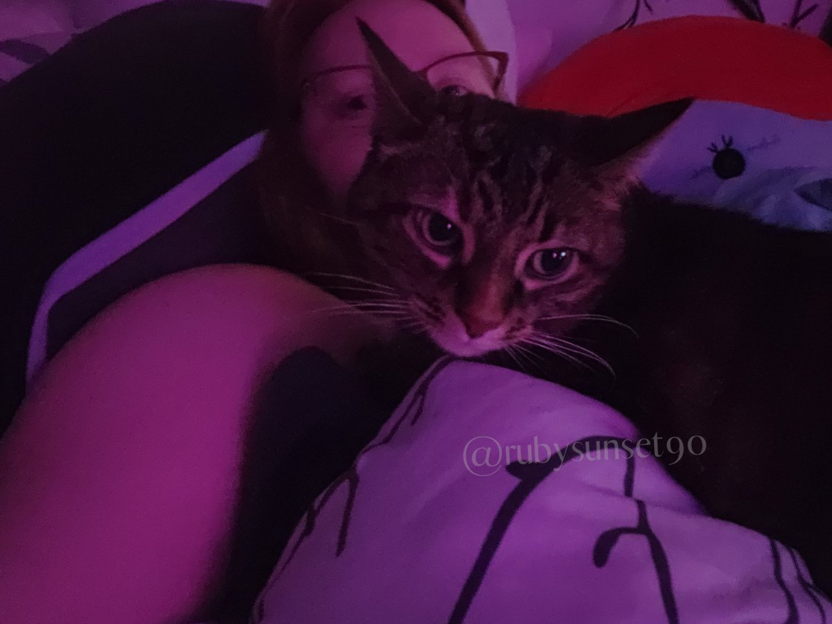 RubySunset5's tweet image. I may not have a human cuddle buddy, but my girls gives the best cuddles