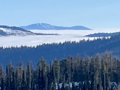 Don Pawluk tweet media