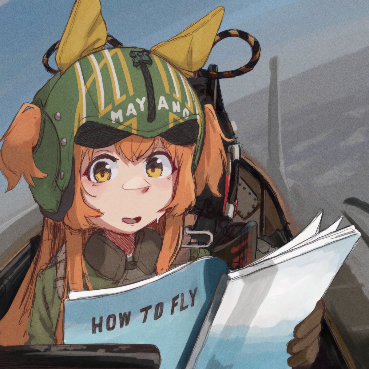 Pilot (@Pilot17473) / Posts / X