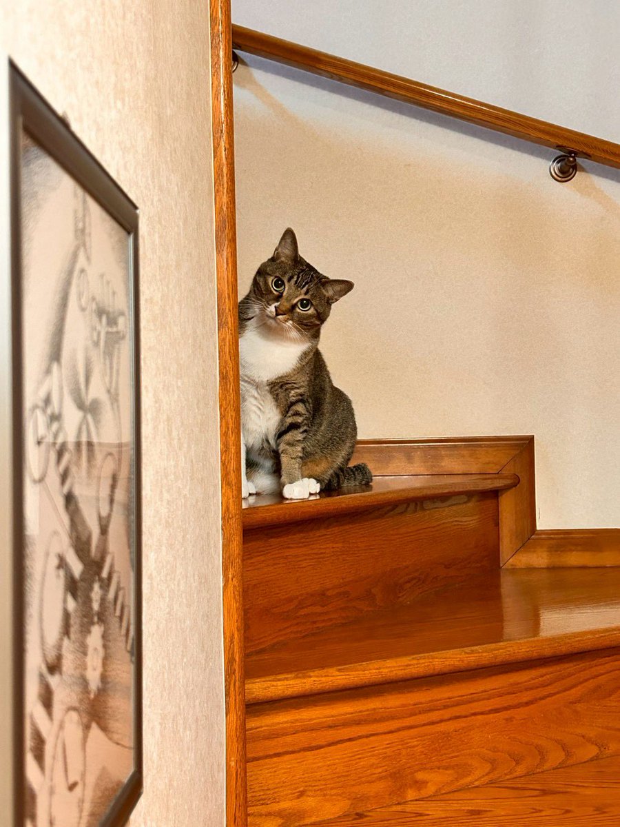 獅子丸 (@Shishimaru_84) / Posts / X