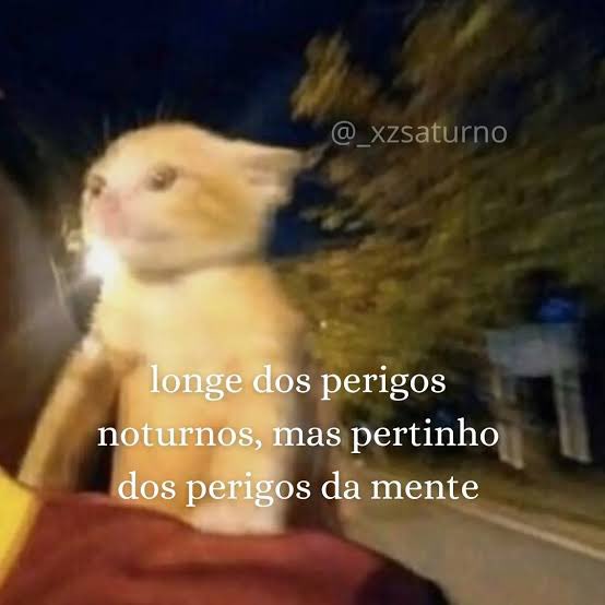 umANSIOS0's tweet photo. assim hoje https://t.co/m4Zp8RWExT