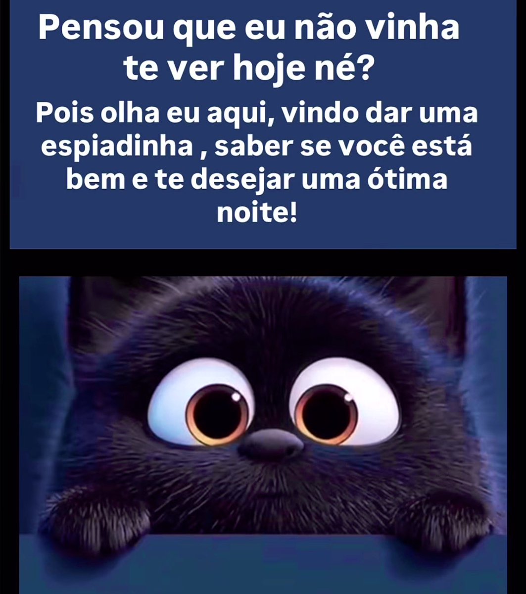 Virgínia Duailibe tweet media
