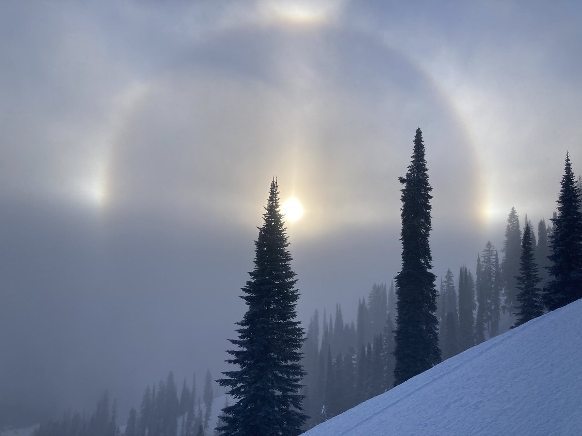 Ross McKenzie tweet media