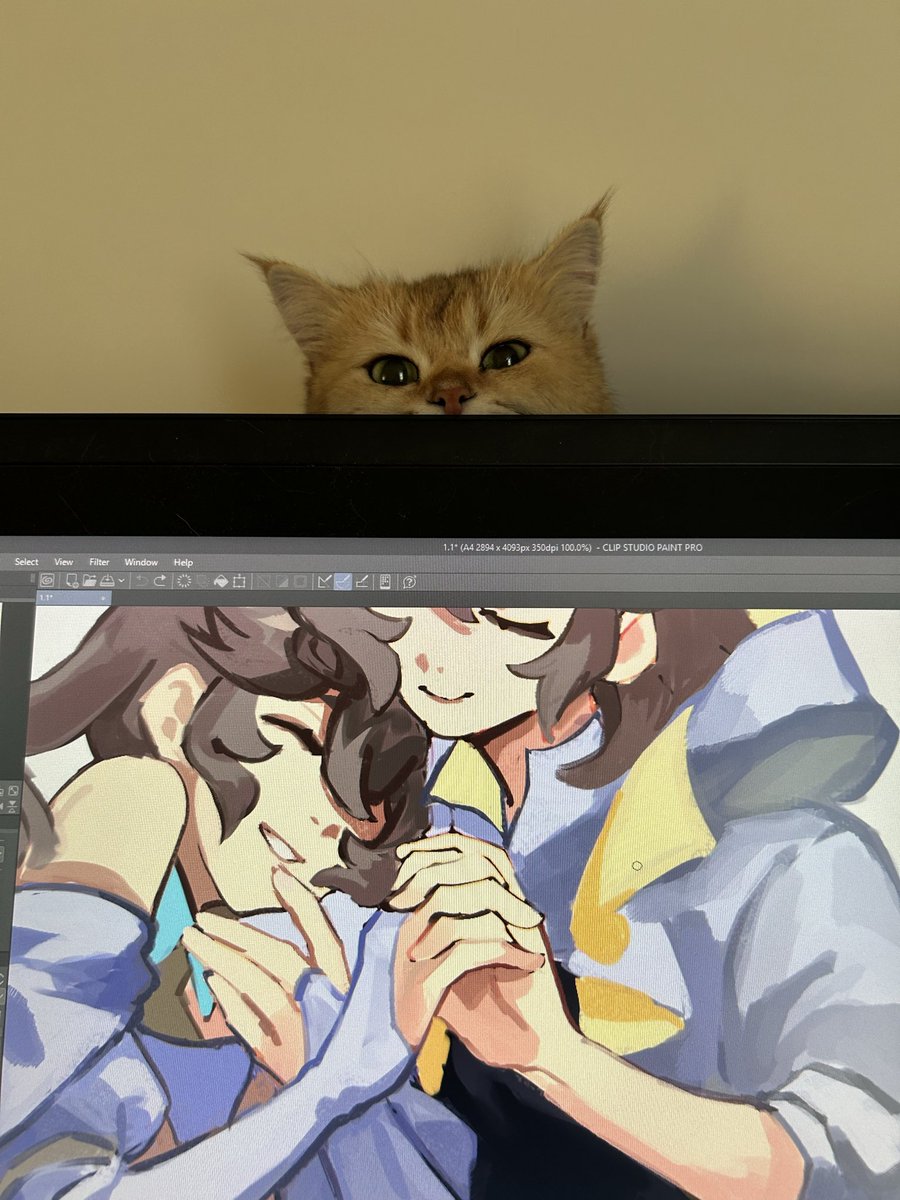 my cat won’t let me draw in peace