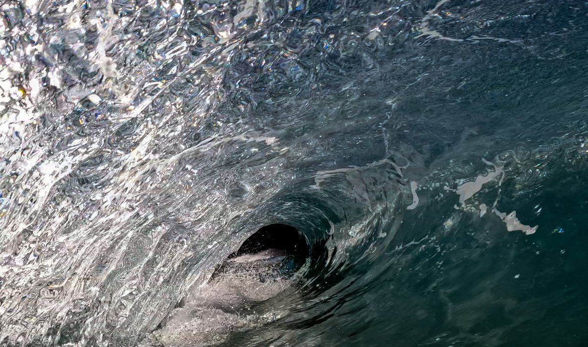 frothing44530's tweet image. 