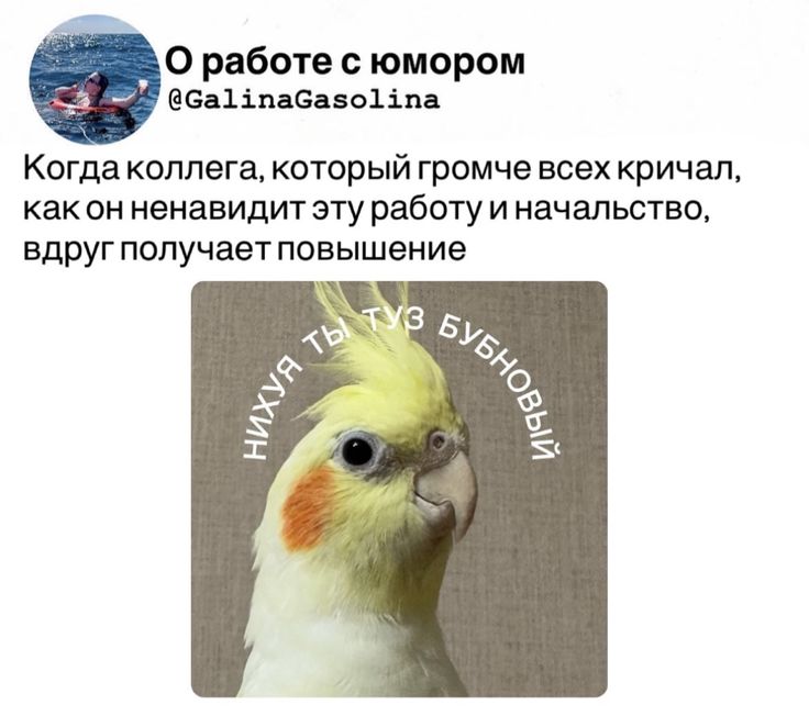 Катя tweet media