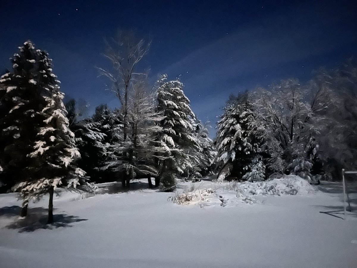 CFitzPlay tweet media