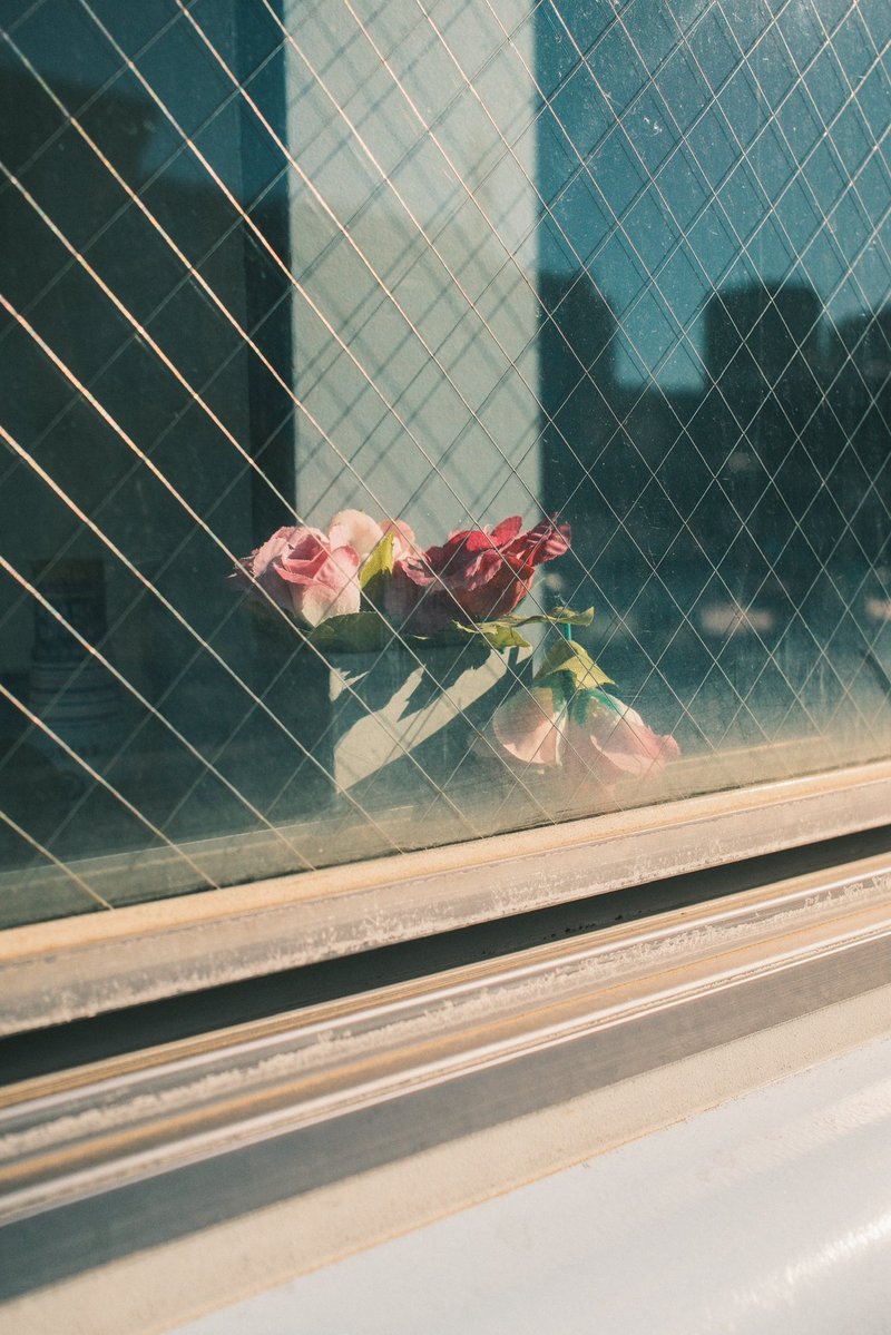 FUJIFILMで撮るみなとみらい