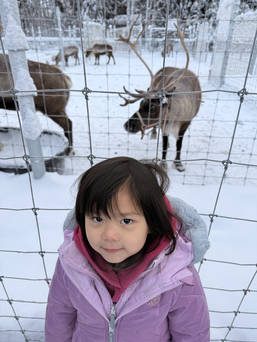 v_izumi123_v's tweet image. Fairbanks のお隣、North Poleにあるサンタクロースハウスに来ました😆
サンタさん🎅とサンタさんの🛷を引く、トナカイも居ました。
#Fairbanks #NorthPole #SantaClausHouse #Alaska