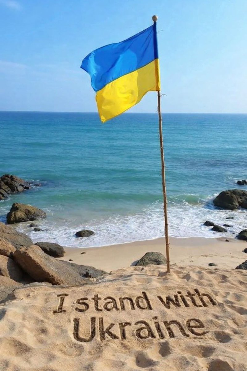 dinhhuan trinh tweet media