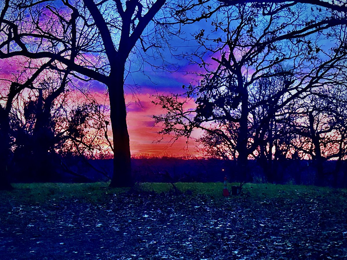 WadeCook64's tweet image. Nice silhouette. 👍😎