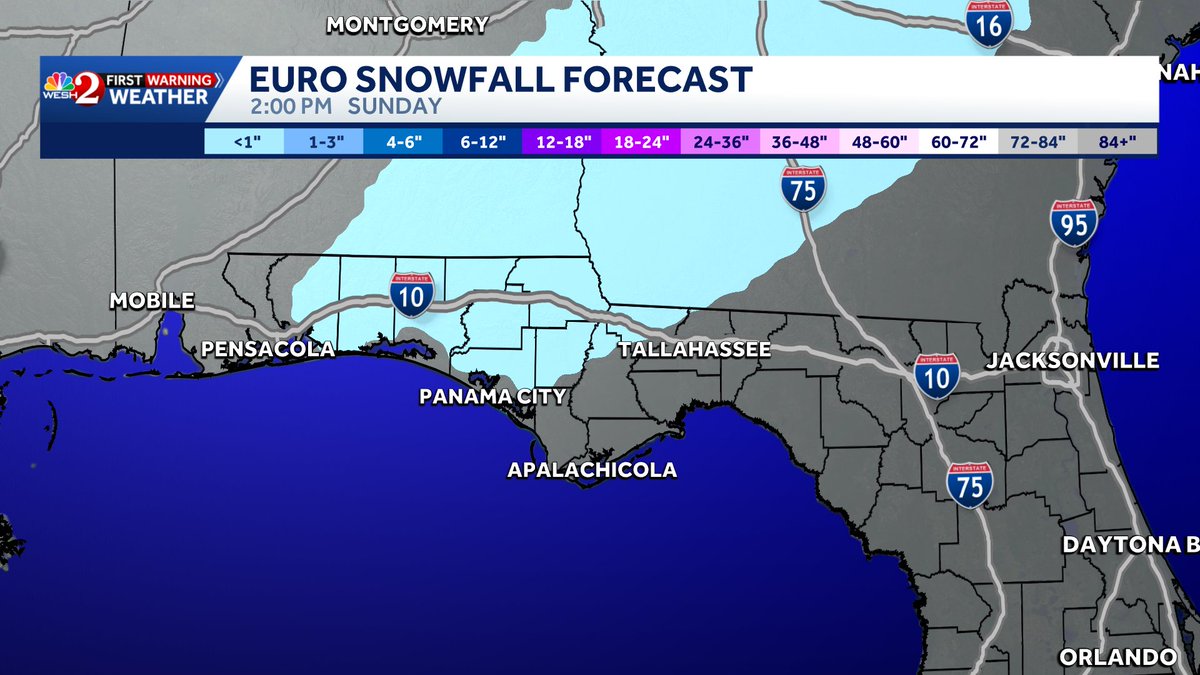 TMainolfiWESH's tweet image. **SNOW UPDATE** There's still a window of opportunity for snow to fall in #florida #Sunday morning. The eastern edge of the snow may make it to #Tallahassee but the farther west you go the chances are better. The Euro is now west of Tally btw! Stay with #weshwx for updates