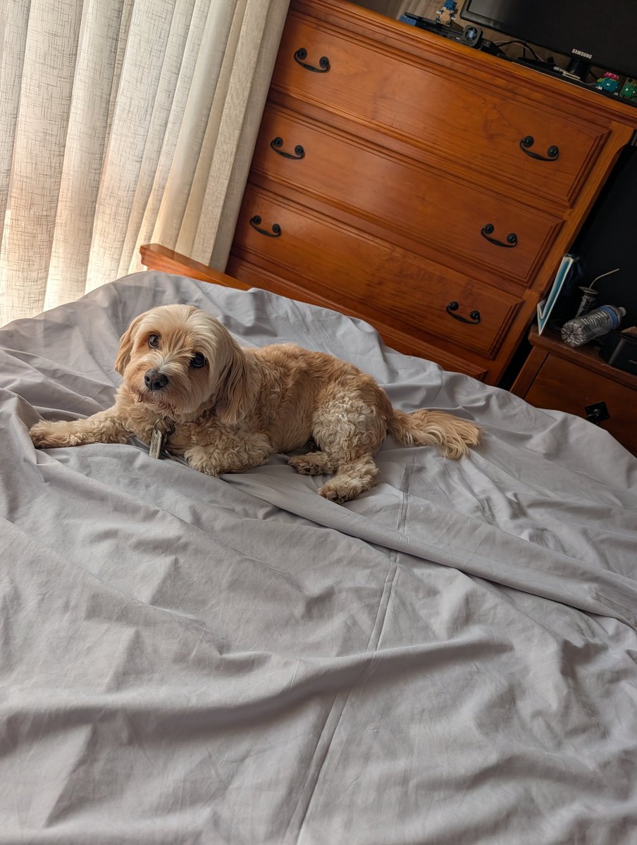 WEREMAGI | I support Mars tweet media