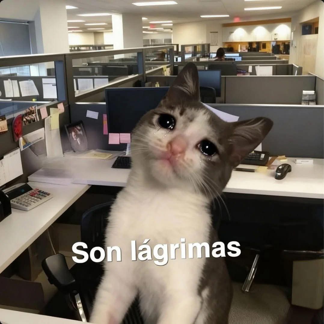 Animalesaprieto's tweet image. me parece muy lindo verte trabajar con ese brillo en tus ojos 
Yo: