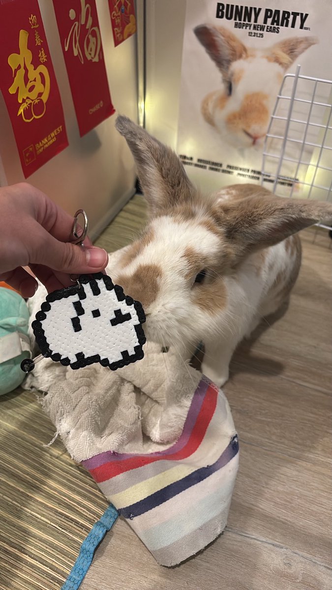 サッポロ sapporo tweet media