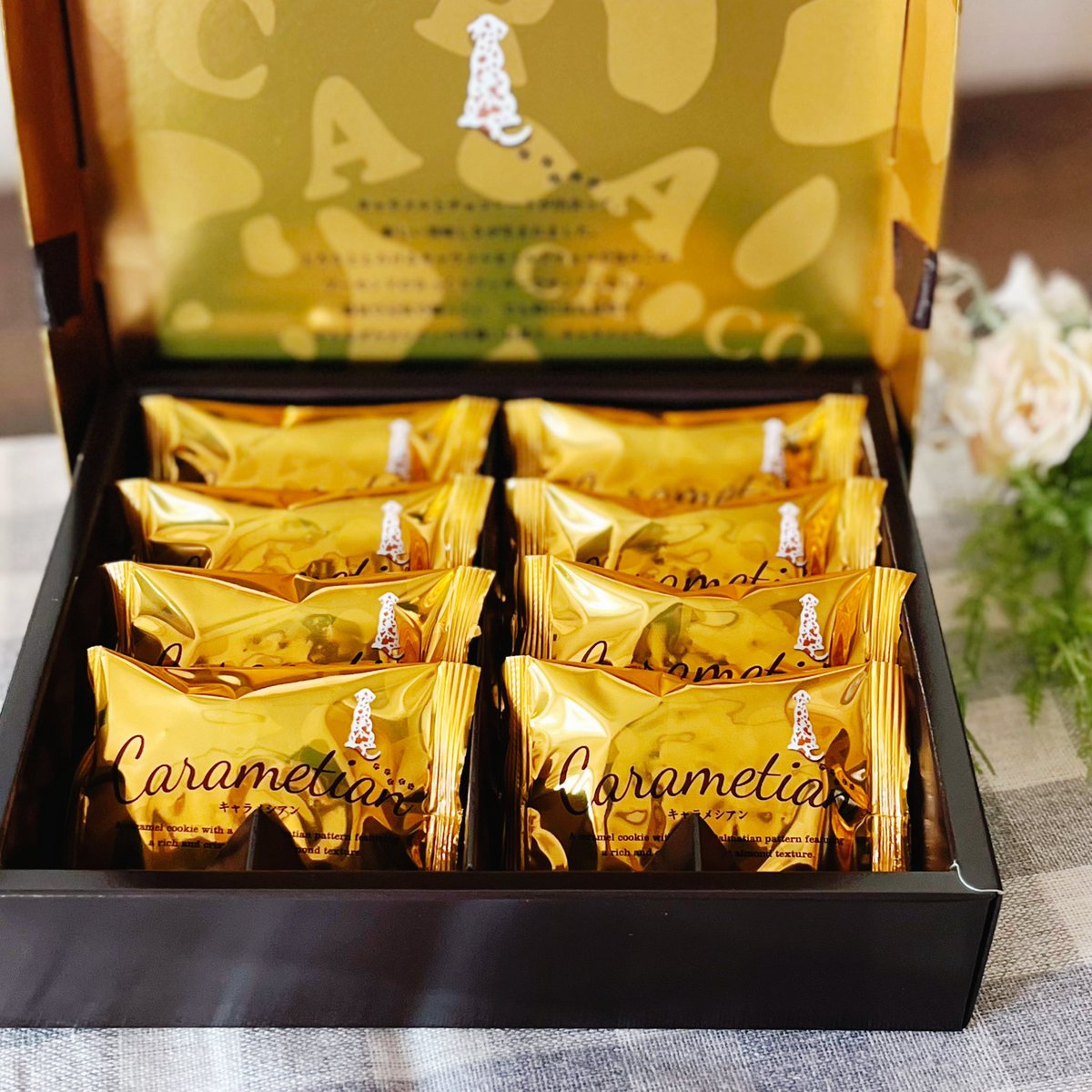 チーボウ (@GcV2m0DFMlxdMxw) / Posts / X