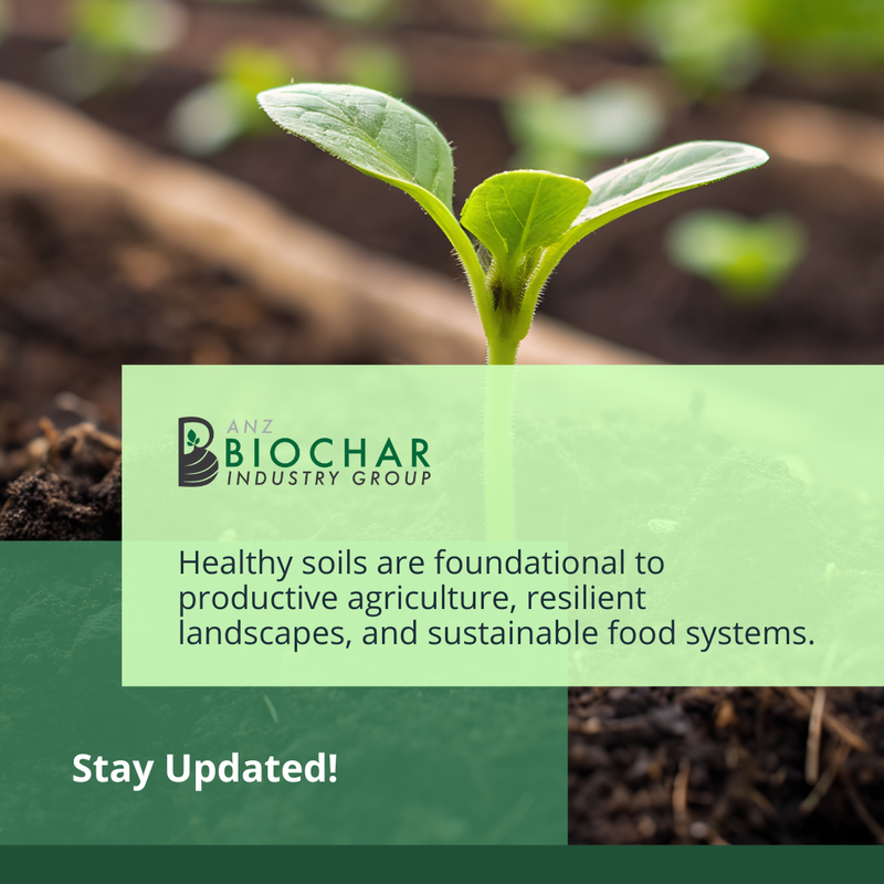 AAnzbig's tweet photo. 🌀 Incorporating biochar can improve soil structure, water retention, nutrient management, and long-term resilience across broad-acre farms, horticultural areas, and public green spaces. 

#biochar #bioenergy #carbondrawdown https://t.co/UeYGqTDBMG