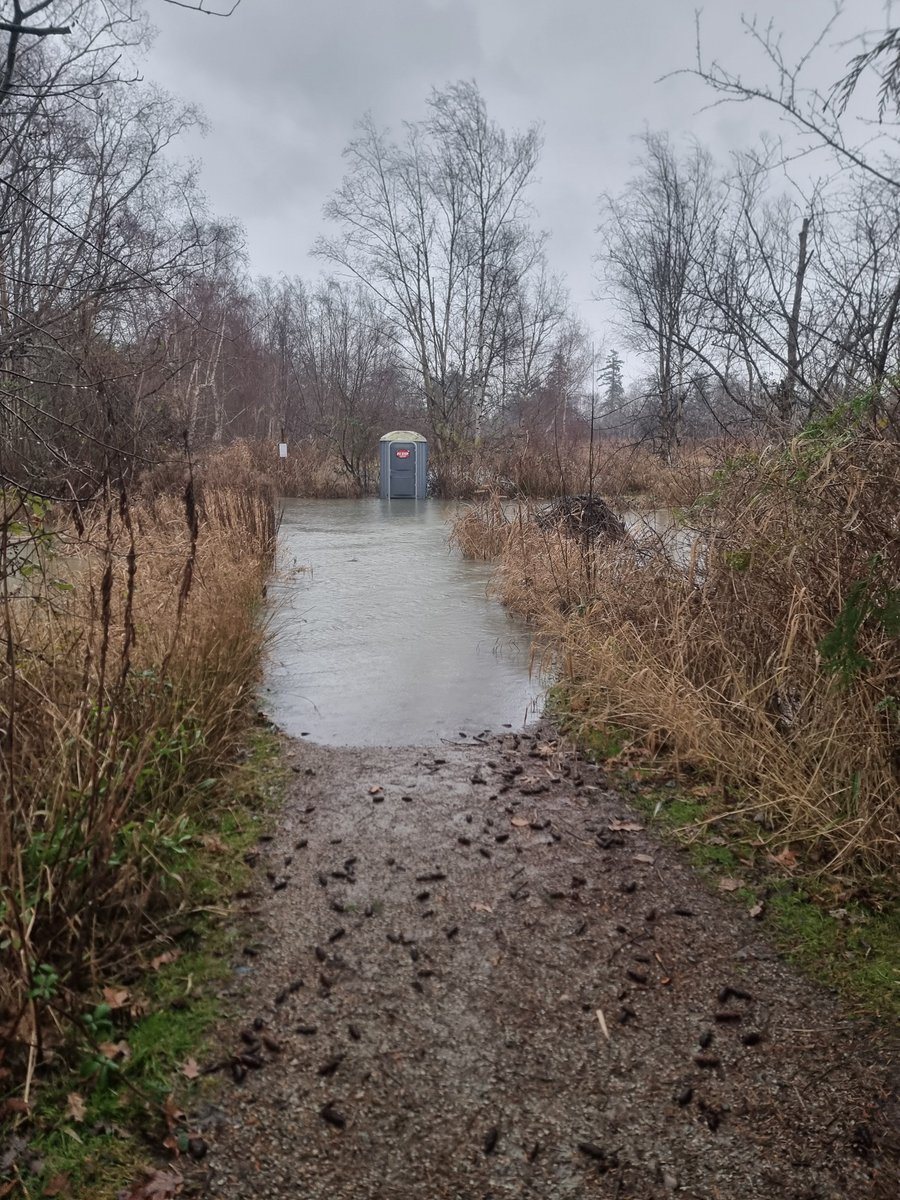 George C. Reifel Migratory Bird Sanctuary tweet media