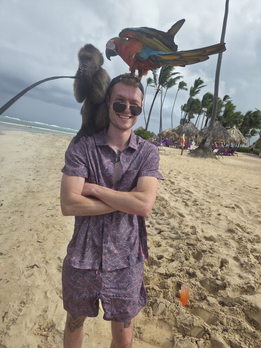 this parrot got zero chill 10 seconds in and already rekt me same energy as  crypto december to january switch