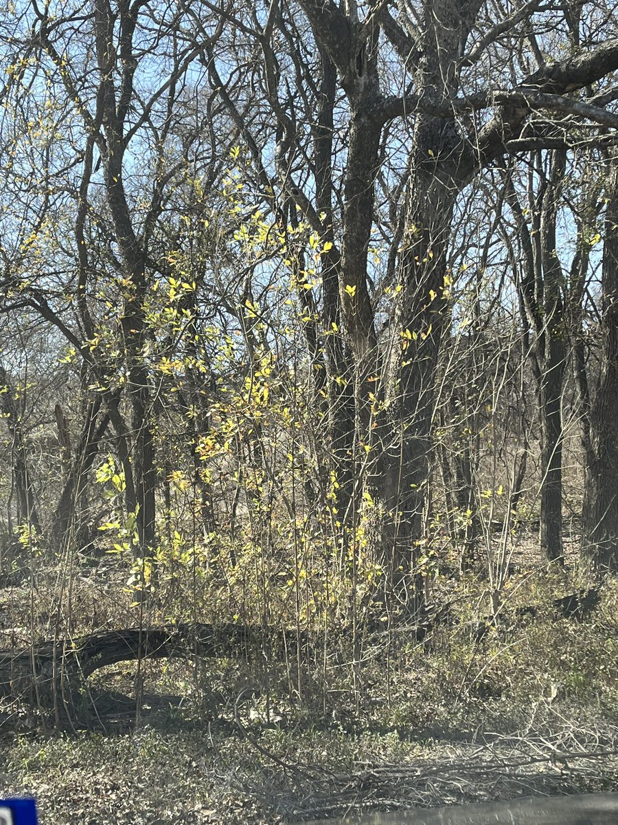 La foto— imagen de un instante—solo alude a la realidad y a la experiencia del que la vivió en ese momento. Quien la mira vive su propio—diferente—instante.