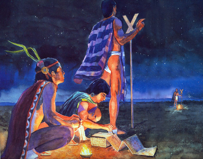 Mexicolore tweet media