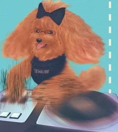 DanTuring's tweet image. 豪雨● 🦁