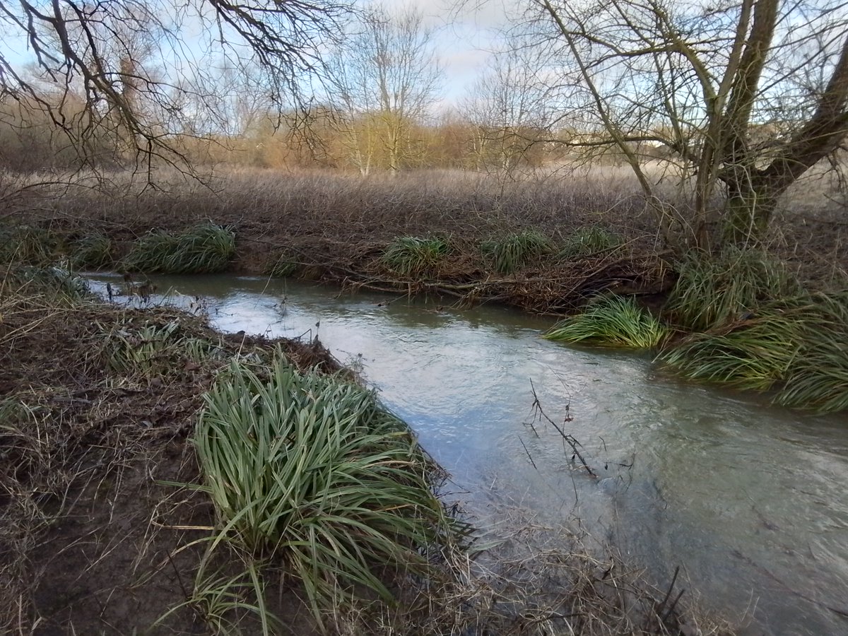 Friends of the River Granta ,FROG tweet media