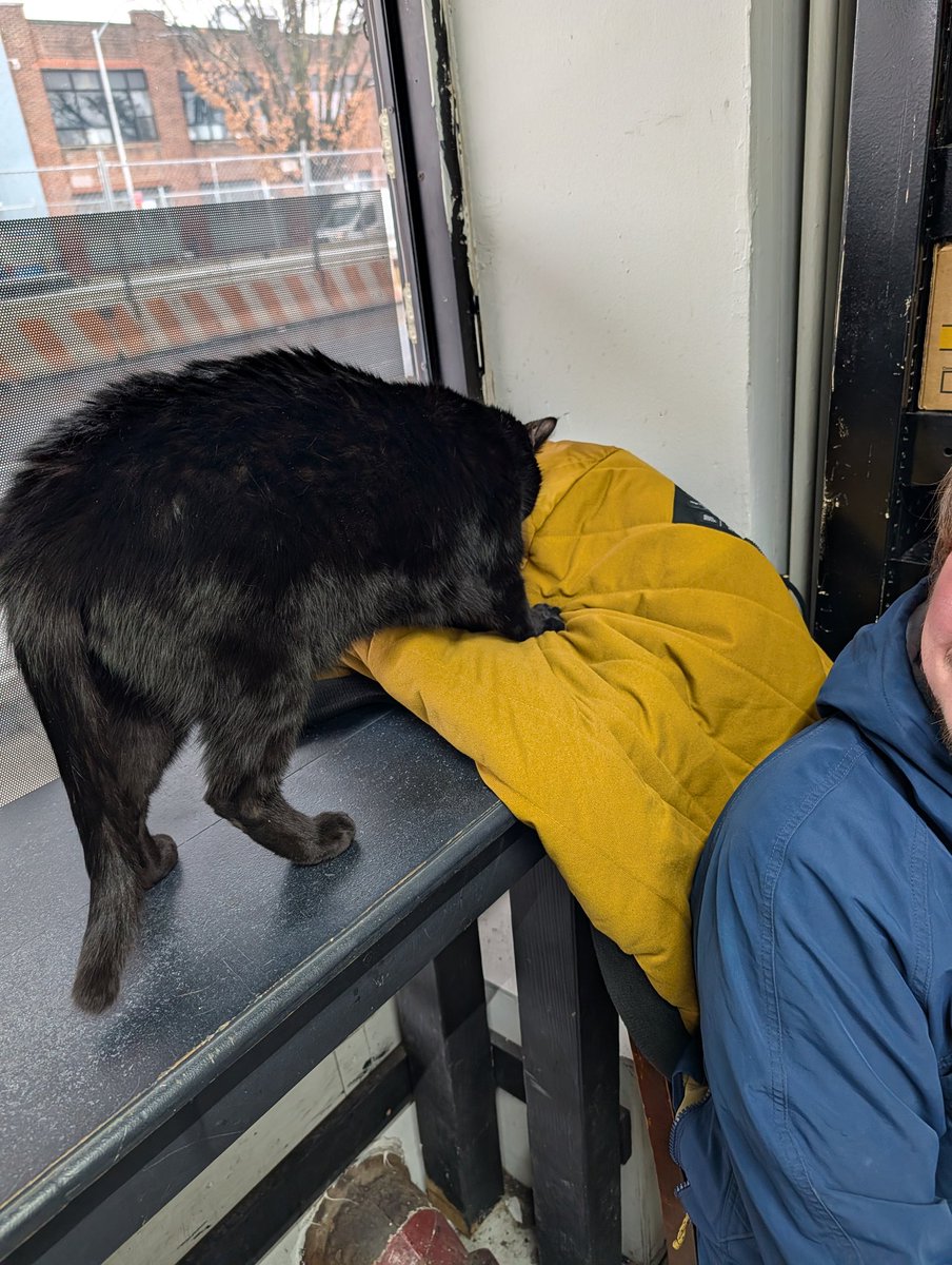 Waxx DFW tweet media