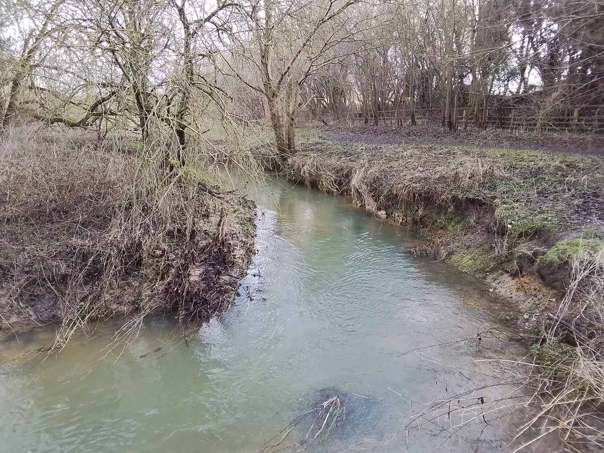 Friends of the River Granta ,FROG tweet media