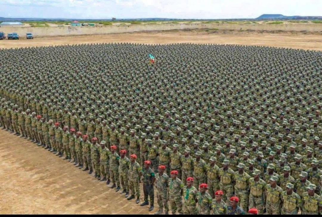 Foreign Affairs Committee - Somaliland tweet media