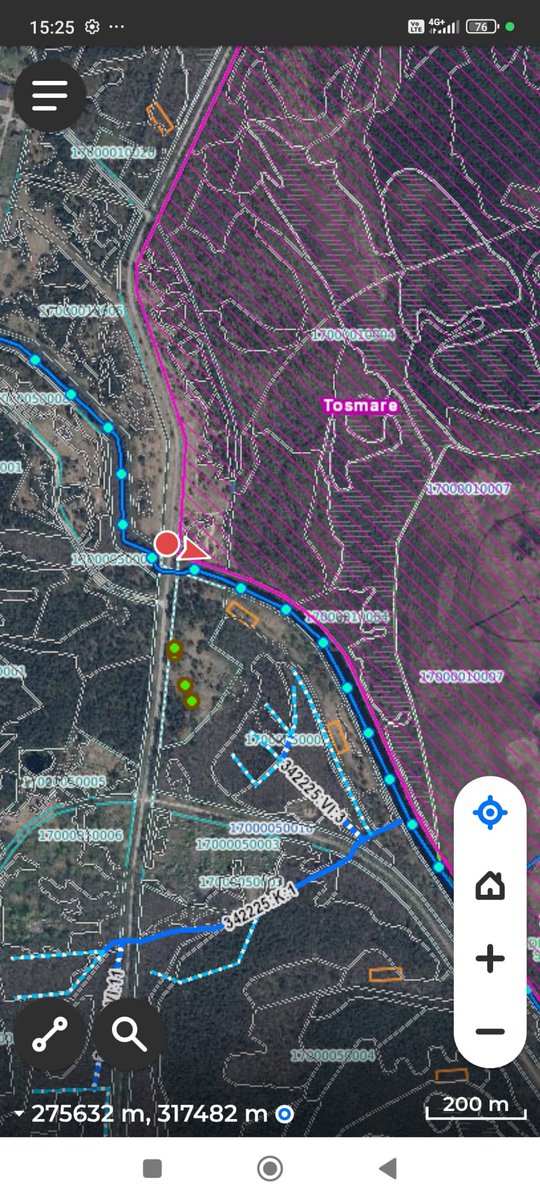 Elīna Medne tweet media