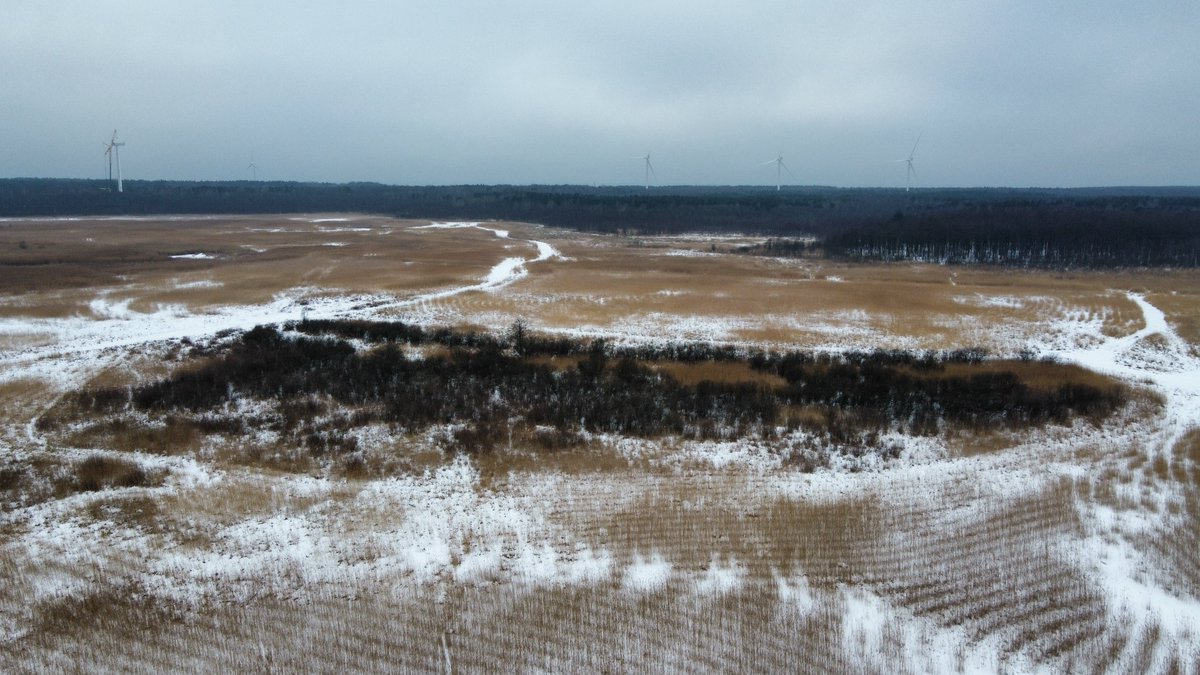 Elīna Medne tweet media