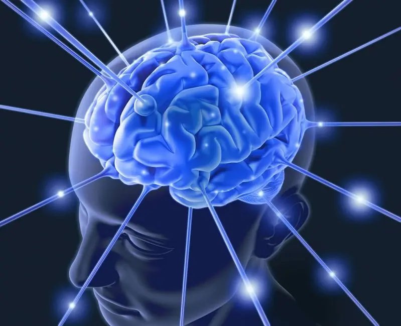 WorthKnowingX's tweet photo. 6. Memory works more like Wikipedia than a video file.
Every time you recall a memory, you rewrite it. Confidence in a memory is often a sign it’s been edited many times. https://t.co/JmBRyG4vek