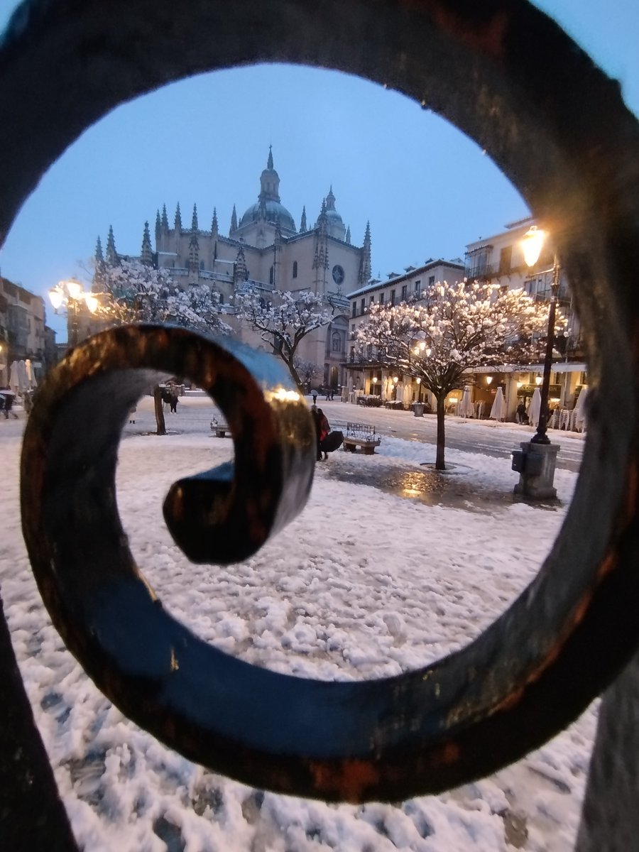 Juan Manuel Castillo Zamora tweet media