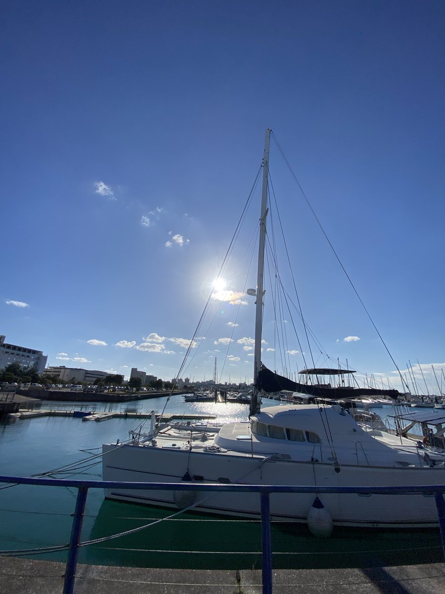 SHOGO HAMADA ON THE ROAD 2025-2026 Under The BLUE SKY
浜田省吾さんのファンへの感謝の気持ちが、強く伝わってきました。
純粋で、ひたむきで、ゼロ地点にいる。
省吾さんの心の持ち方や生き方を見習いたい。
一生忘れられない一日になりました😎

#浜田省吾
#沖縄コンベンションセンター