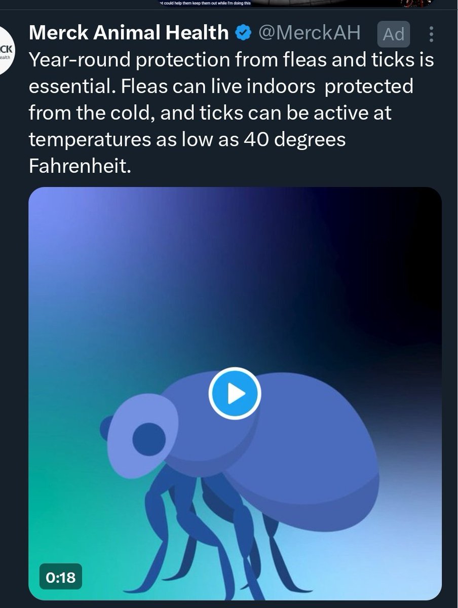 AngelMaidVT's tweet image. I keep getting this ad because I have a cat, but my feed is all vtuber stuff, so my first thought every time it comes up is always "oh fleatuber!"