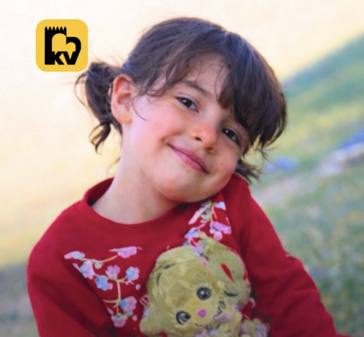 Nima Yamini tweet media