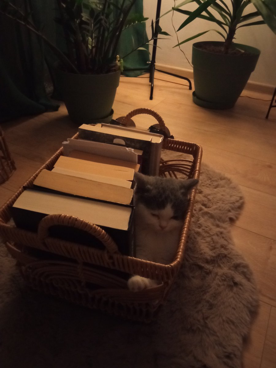 Не мога с тоз 🥰