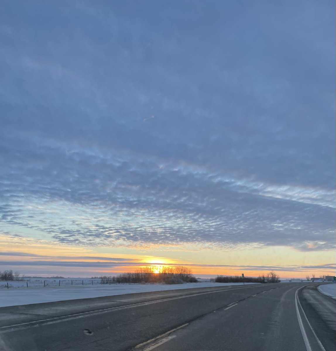 Blaine Forsberg MSc tweet media