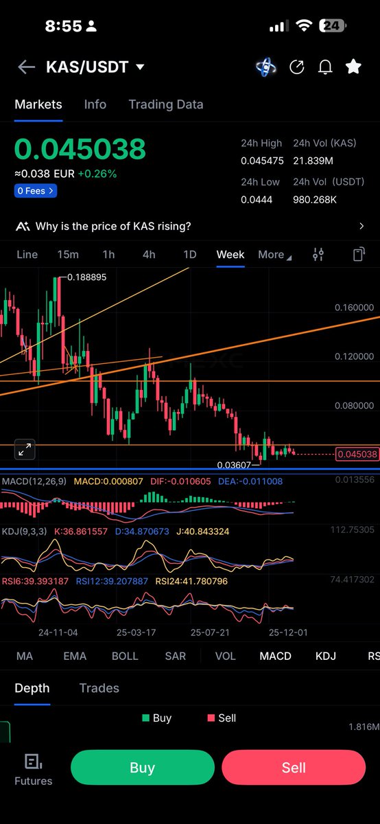 𐤊 Lilly 𐤊Kaspa 𐤊 tweet media