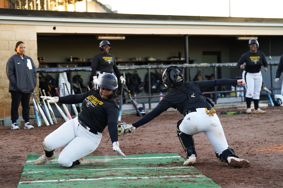 Alabama State Softball tweet media