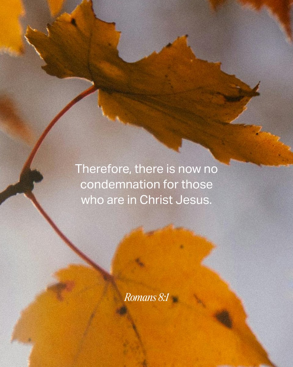 YouVersion Bible App tweet media