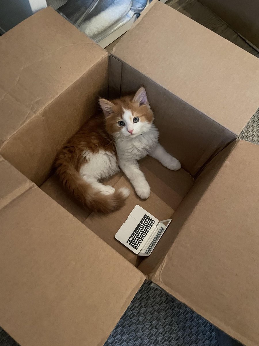 Please, step into my office.