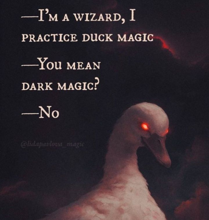 GaryD20Games's tweet image. What the duck!? 😈