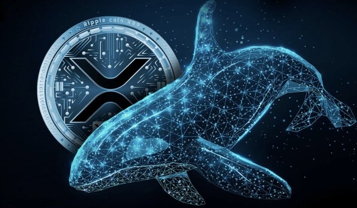 Xaif_Crypto's tweet image. 🚨 BREAKING 🚨

🐋 WALL STREET WHALE CALLS $XRP TO $12.50 🤫

Standard Chartered analyst Geoffrey Kendrick, $XRP is projected to reach $12.50 by 2028

Why XRP specifically?

• Spot XRP ETFs gaining approval
• 6 live ETF funds expected
• $4 to $8 BILLION inflows in the first…