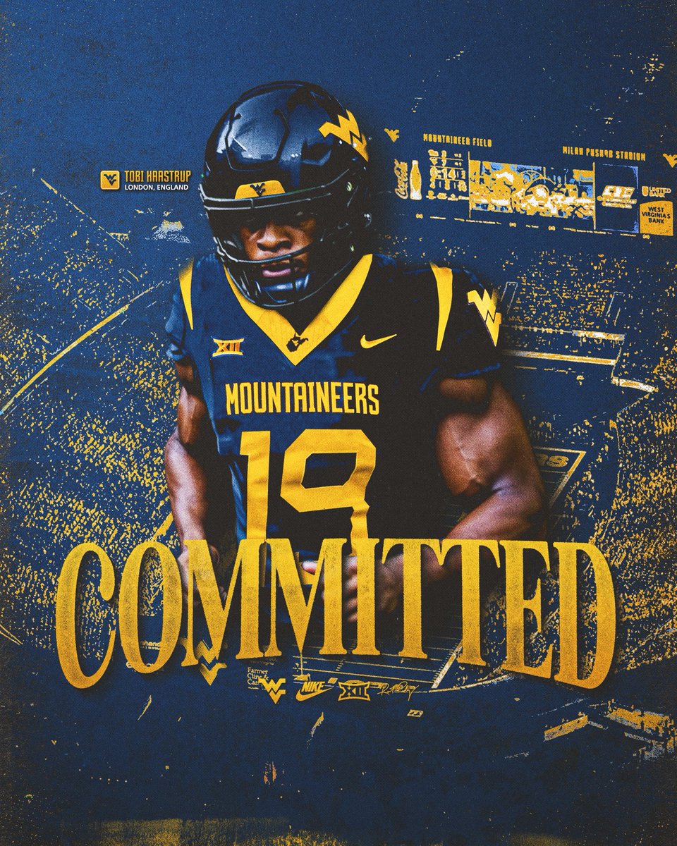 Tobi Haastrup 4⭐️ tweet media