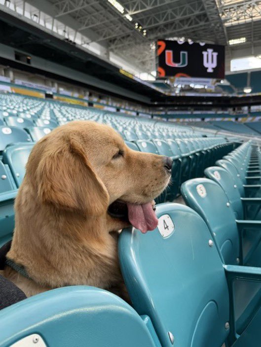 Hard Rock Stadium tweet media