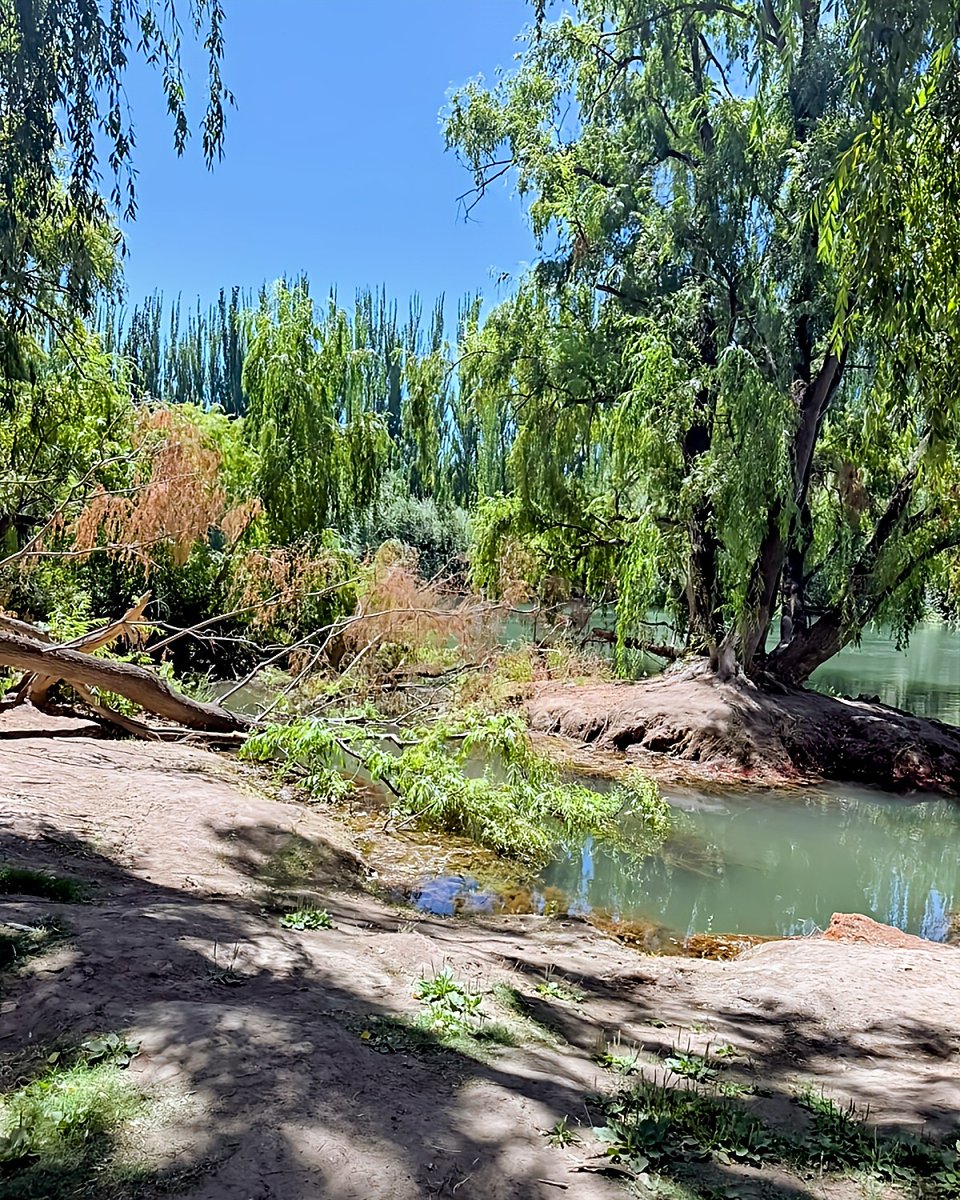 Jorge Ferrari ® tweet media