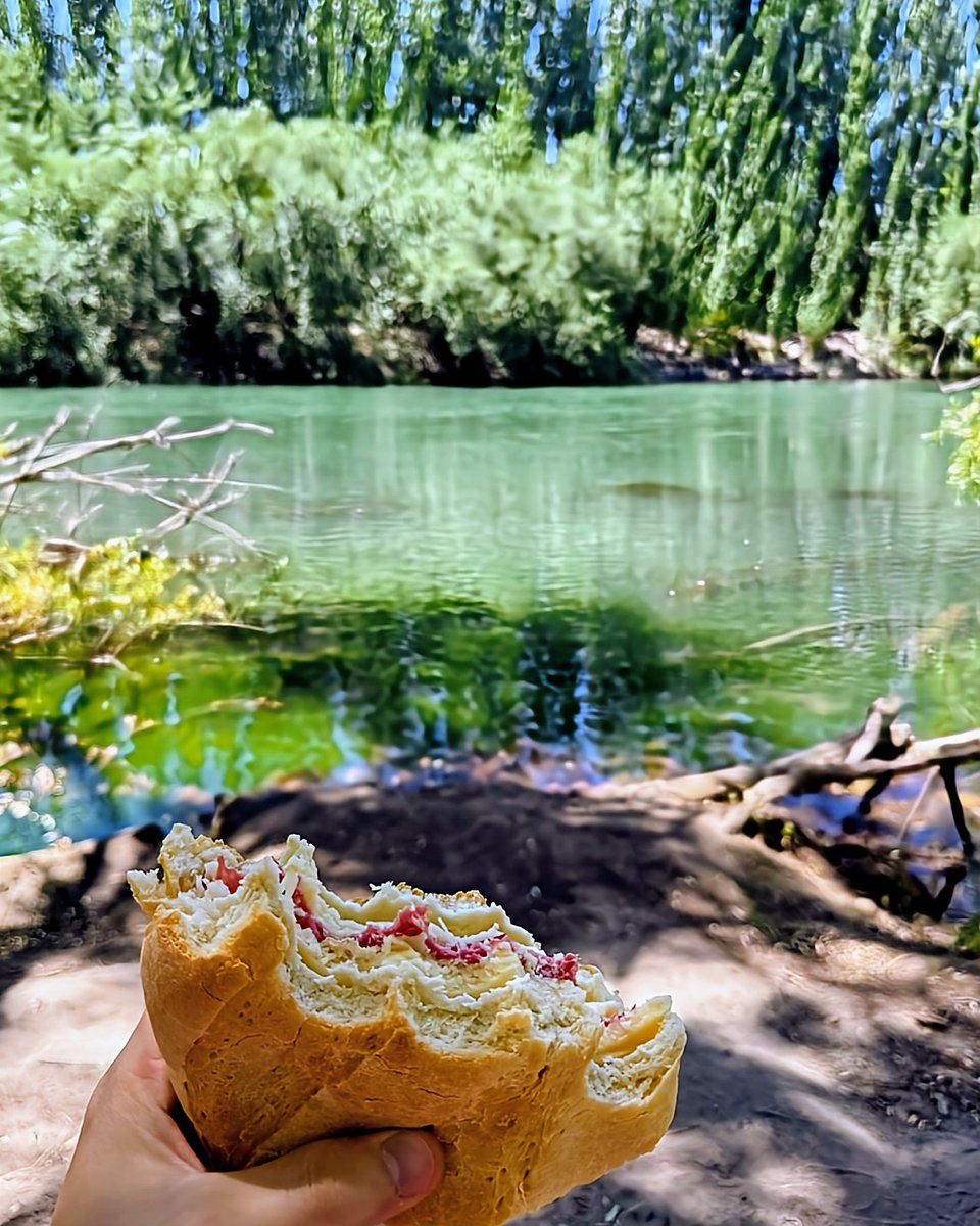 Jorge Ferrari ® tweet media