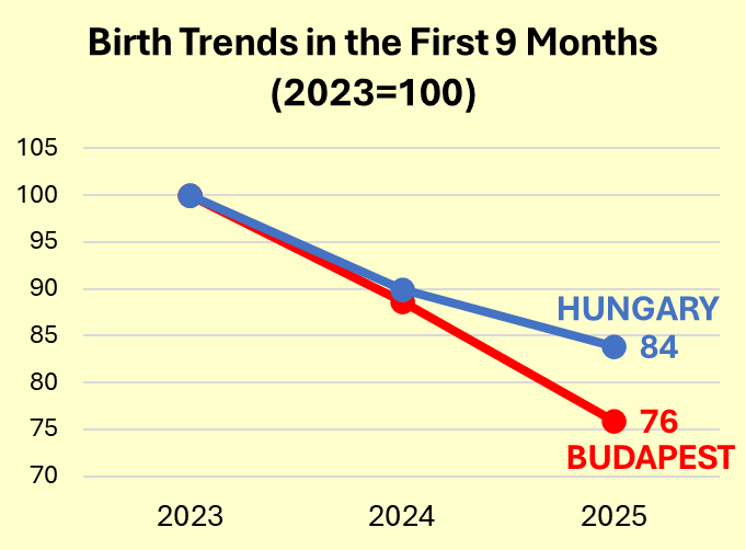 Csaba G. Tóth tweet media